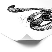 Impression Photo Cobra (Coin)