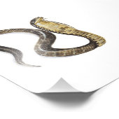 Impression Photo Cobra contre Rat (Coin)
