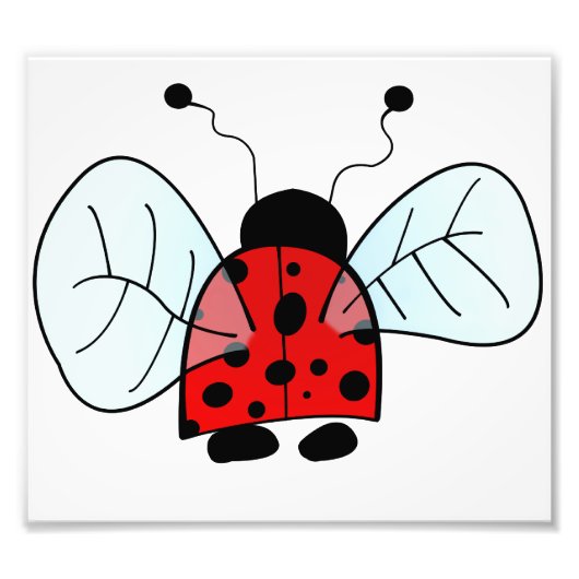 Impression Photo Coccinelle (Devant)