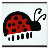Coccinelle