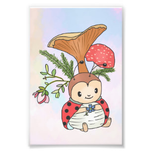 Impression Photo Coccinelle