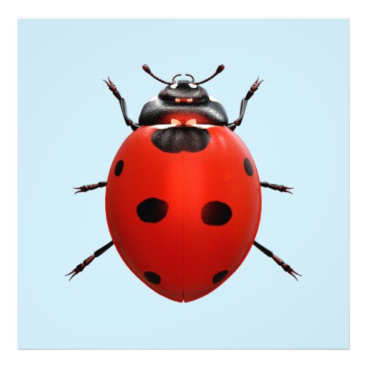 Impression Photo Coccinelle Chanceuse (Devant)