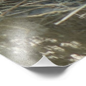 Impression Photo Cochon de momie (Coin)