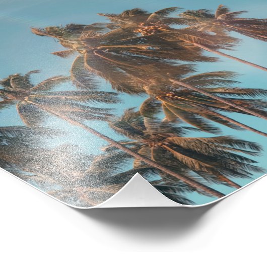 Impression Photo Cocotier (Coin)