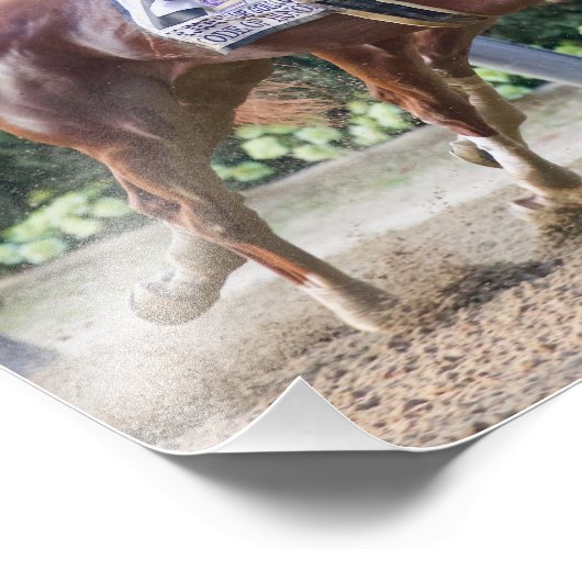 Impression Photo Code of Honor & Vino Rosso (Coin)