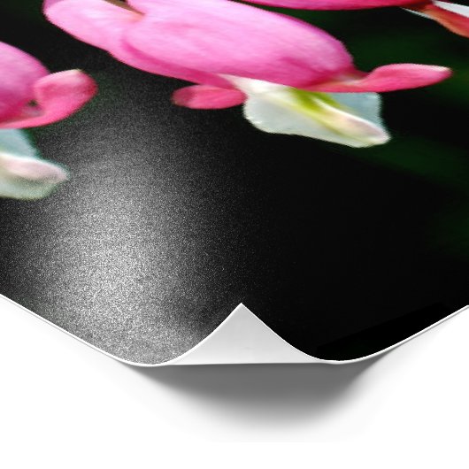 Impression Photo Coeurs saignants (Coin)