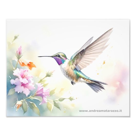 Impression Photo Colibri (Devant)