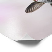 Impression Photo Colibri (Coin)