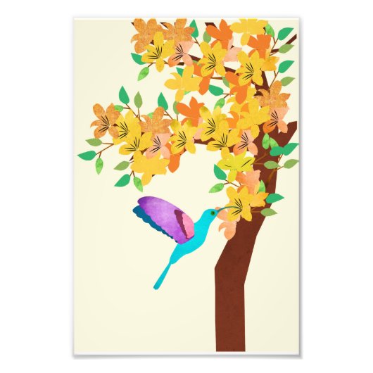 Impression Photo Colibri (Devant)