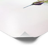 Impression Photo Colibri (Coin)