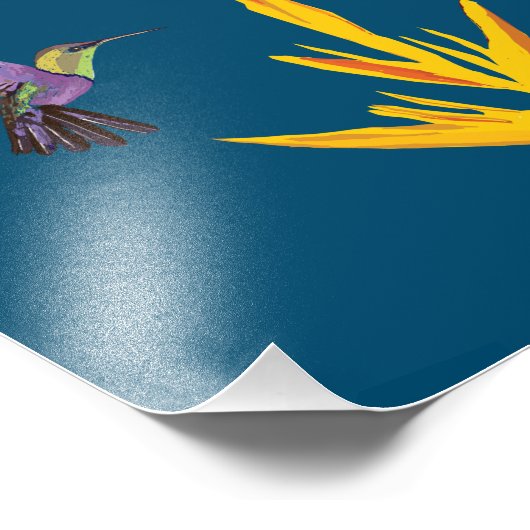 Impression Photo Colibri (Coin)