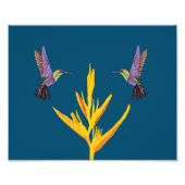 Impression Photo Colibri (Devant)