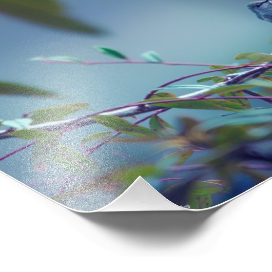 Impression Photo Colibri 5738 (Coin)