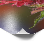 Impression Photo Colibri à gorge rubis (Coin)