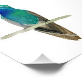 Impression Photo Colibri À Gros Prix Sur Une Branche (Coin)