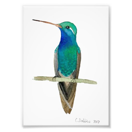 Impression Photo Colibri À Gros Prix Sur Une Branche (Devant)