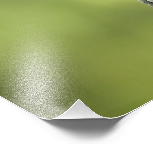 Impression Photo Colibri à la source (Coin)