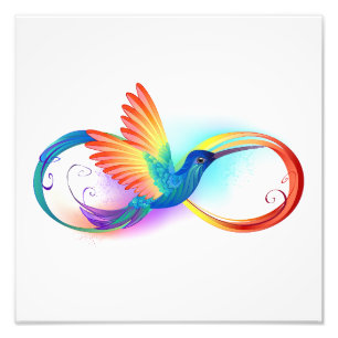 Impression Photo Colibri arc-en-ciel avec symbole Infinity