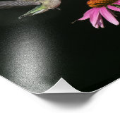 Impression Photo Colibri Avec Fleur (Coin)