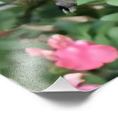 Impression Photo Colibri devant une fleur (Coin)