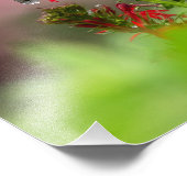 Impression Photo Colibri Et Fleur Cardinale (Coin)