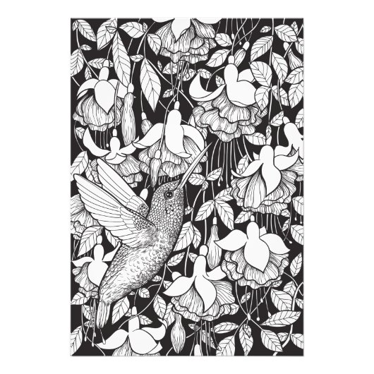 Impression Photo Colibri et fuchsia (Devant)