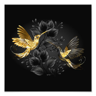 Impression Photo Colibri noir et or