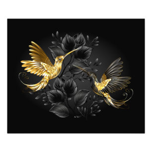 Impression Photo Colibri noir et or