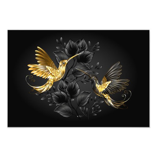 Impression Photo Colibri noir et or (Devant)