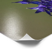 Impression Photo Colibri roux (Coin)