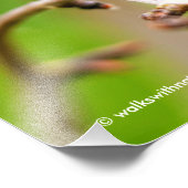 Impression Photo Colibri roux femelle sur le prunier (Coin)