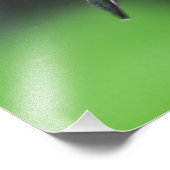 Impression Photo Colibri Ruby Throsé (Coin)