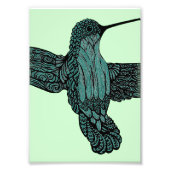 Impression Photo Colibri - Turquoise (Devant)