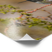 Impression Photo Colibri vert (Coin)