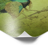 Impression Photo Collage d'art Peacock vintage (Coin)