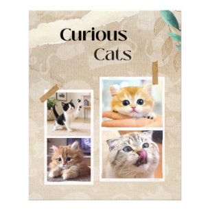 Impression Photo Collage de chats curieux