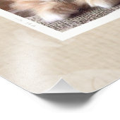 Impression Photo Collage de chats curieux (Coin)