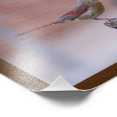 Impression Photo Collage de photos du cardinal (Coin)