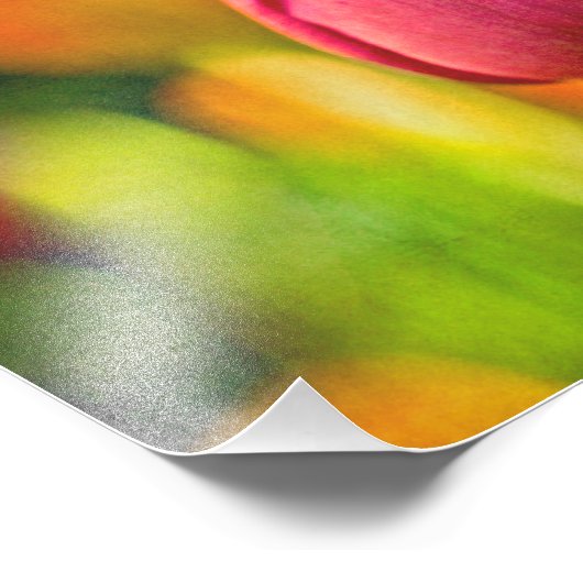 Impression Photo Collage de tulipe (Coin)