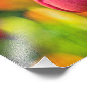 Impression Photo Collage de tulipes (Coin)