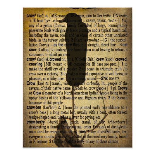 Impression Photo Collage Old Crow (Devant)