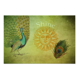 Impression Photo Collage vintage d'art de paon