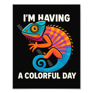 Impression Photo Coloré Chameleon Lizard Vie Rainbow Reptile