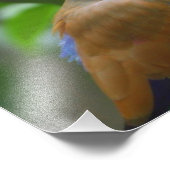 Impression Photo Colorful (Coin)