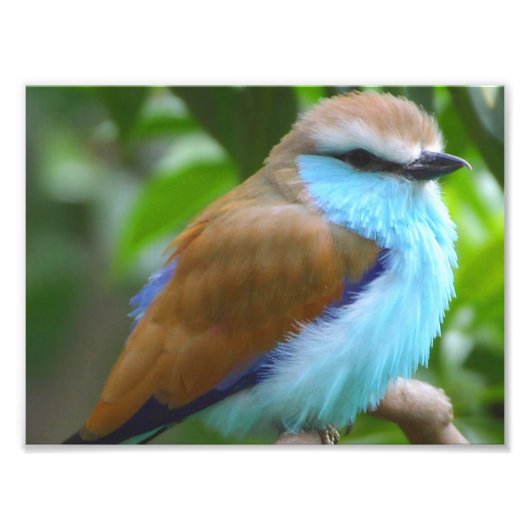 Impression Photo Colorful (Devant)