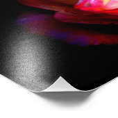 Impression Photo Colori Brillanti (Coin)