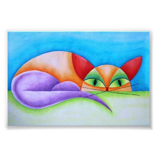 Impression Photo Colorido gato (Devant)