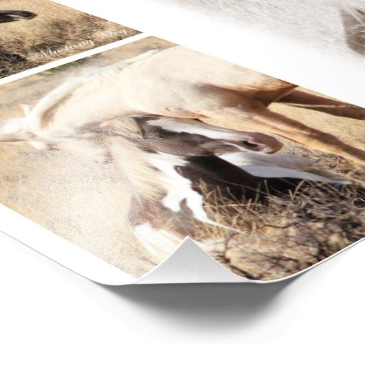 Impression Photo Colts seront Colts - Mustang Collage (Coin)