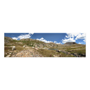 Impression Photo Columbine Lake Mountain Chèvres - Colorado