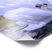 Impression Photo Comme un, Swans par Danny Hahlbohm (Coin)